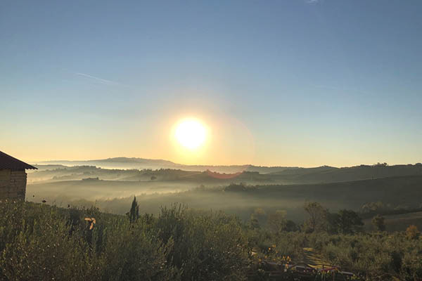 a fabulous sunrise shining down on the olive groaves at Gabrielloni olive oil