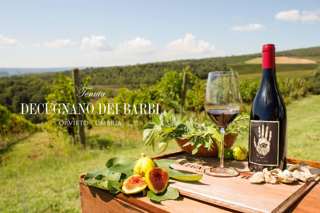 a view of a vineyard in Italy, in the foreground a table with abottle of wine and sliced figs