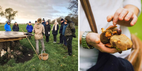a foraging event with attendees learning about the wide range of seasonal wild foods adorning the hedgerows, meadows and woodland