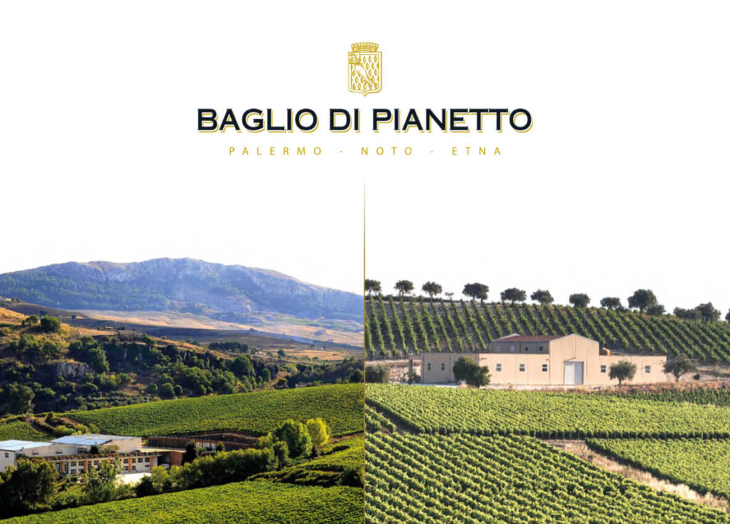 images of a vineyard in Palermo Sicily