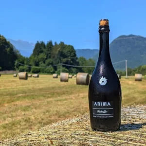 A bottle of artisanal Anima Isabellar beer sitting on a hay bail in sunny hay field