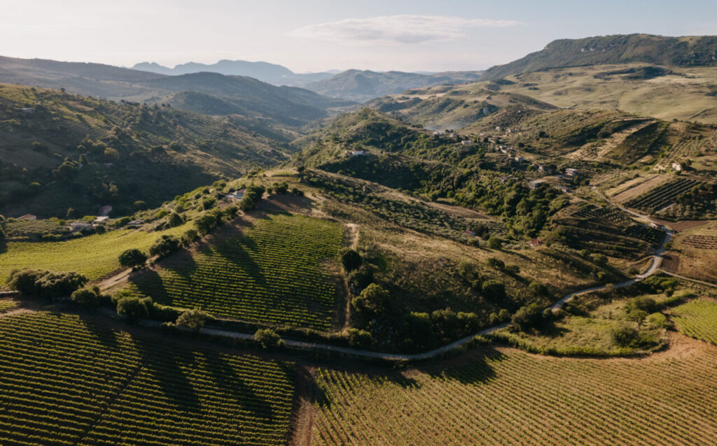 Baglio di Pianetto high-altitude organic vineyards in the hills above Palermo, Sicily